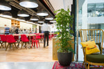 The benefits of Biophilic design in office space