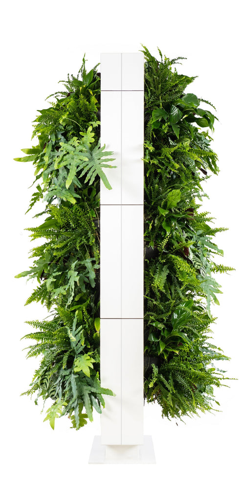 
                  
                    Live Divider Plus 3
                  
                