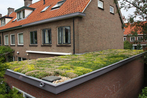 
                  
                    Click N' Go Green roofing
                  
                
